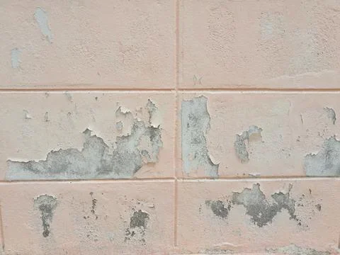 Pink color peel on the wall Stock Photos