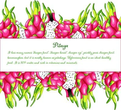 Pink color rectangle frame of pitaya Stock Illustration