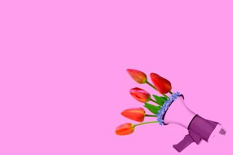 Pink creative megaphone and flat pink flowers roses and peonies on a pastel p Stock Photos