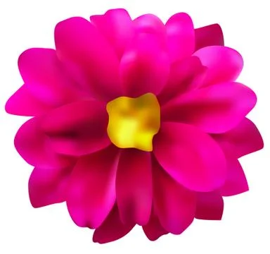 Pink dahlia Illustrazione stock