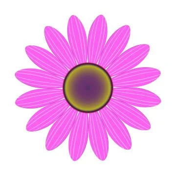 Pink Daisy Flower Vector on Isolated White Background Stock Illustration