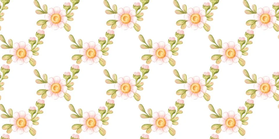 Pink daisy lattice seamless pattern Stock Illustration