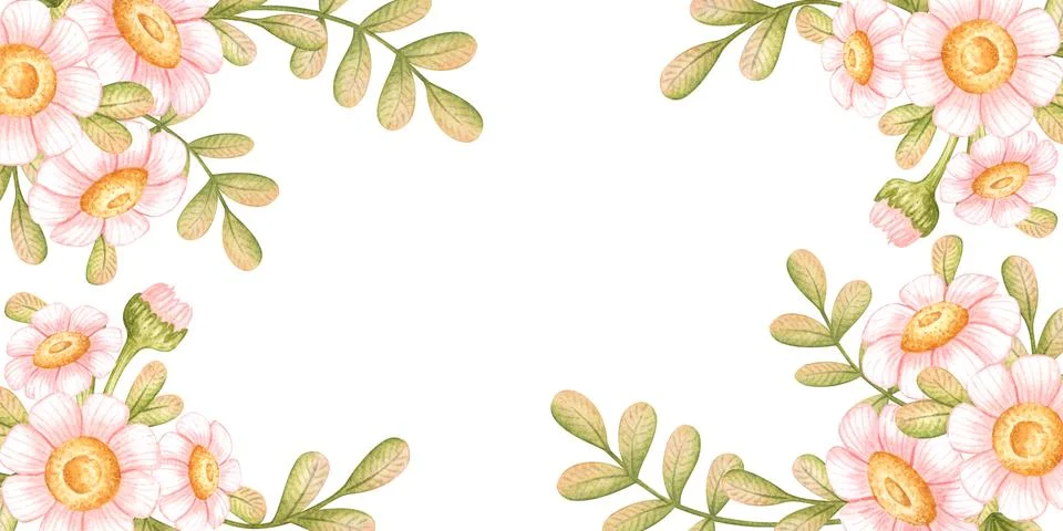 Pink daisy rectangular banner with leaves Stock Illustration