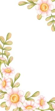 Pink daisy vertical story frame Stock Illustration
