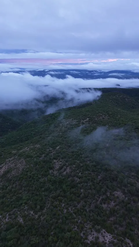 Pink dawn sky over cloud-covered mountains, drone aerial, Acapulco Stock Footage 348302132