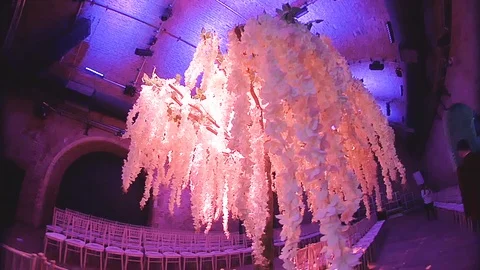 Pink Decorative Tree at Event Stock-Footage 104267071