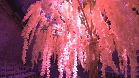 Pink Decorative Tree Flare at Event 5 4k Stock Footage 104267206