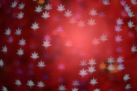 Pink defocused maple leaves background, blur focus Stock Photos
