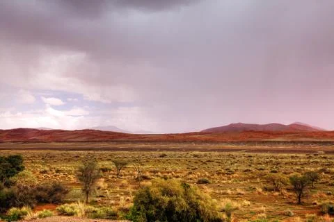 Pink desert Stock Photos
