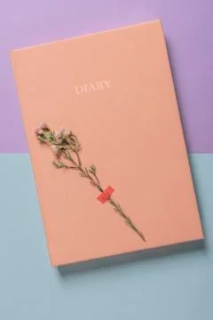 Pink diary notebook and a single white flower. Stock Photos