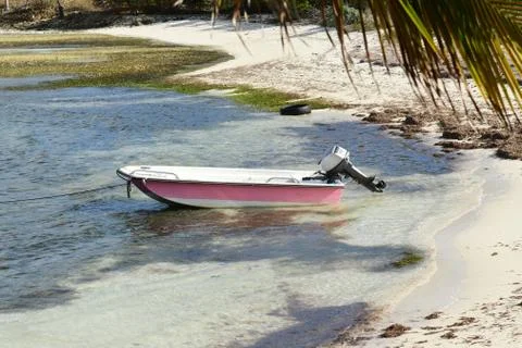 Pink Dinghy Stock Photos