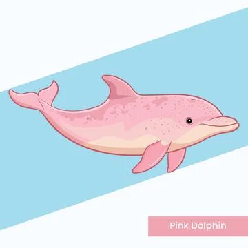 Pink Dolphin Vector Illustration - Rare Amazon River Marine Mammal Cartoon .. Stock Illustration