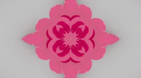 Pink dreamflower Stock Footage 10685382