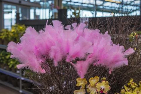 Pink Easter decorative elements on branches in flower shop with spring plants Stock Photos