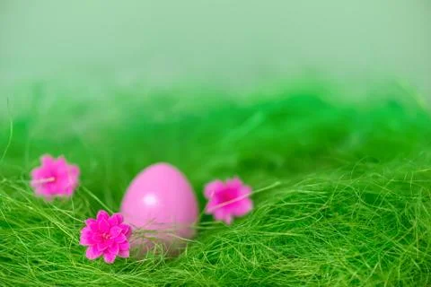 Pink Easter egg and flowers in green grass background, festive greeting card 스톡 사진