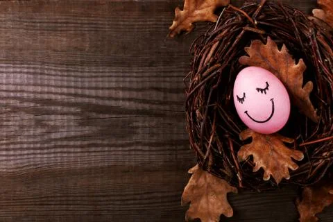 A pink Easter egg with a contented face lies in a nest on a wooden background Stock Photos