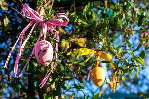 Pink Easter egg decoration with ribbon hanging on leafy tree branches in spring Stock Photos