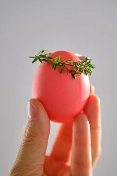 Pink Easter egg in hand close-up. Stock Photos