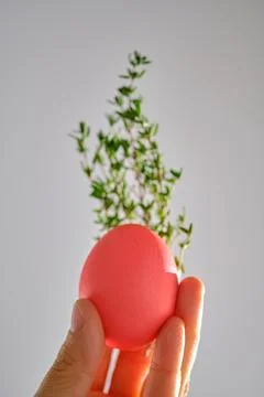 Pink Easter egg in hand close-up. Stock Photos