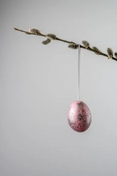 Pink easter egg hanging from a willow twig with catkins Stock Photos