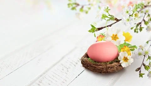 A pink Easter egg rests in a small nest surrounded by white and yellow spri.. Stock Photos