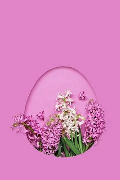 Pink easter Egg shaped hole with copy space on pink background. Beautiful Stock Photos