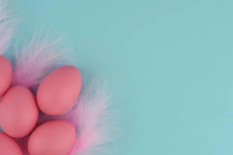 Pink Easter eggs with feathers under. Blue background. Copy space. Foto stock