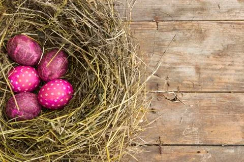 Pink easter eggs Stock Photos