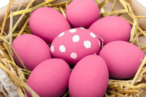Pink Easter eggs on wodden background. Still life photo of lots of pink easte Stock Photos