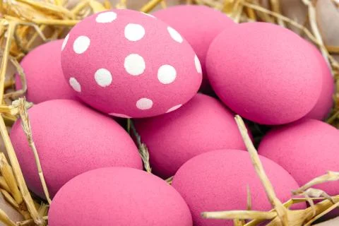 Pink Easter eggs on wodden background. Still life photo of lots of pink easte Stock Photos