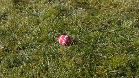 Pink egg on green grass Stock Footage 73462231