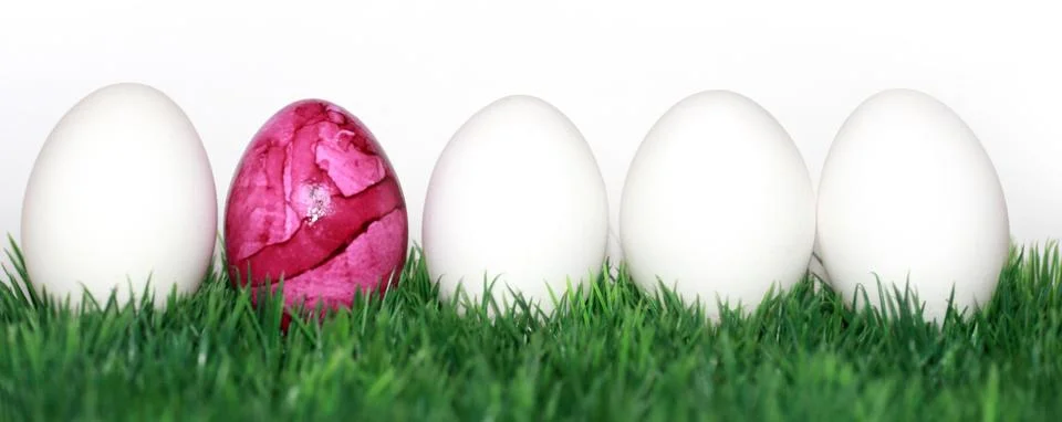Pink egg Illustrazione stock