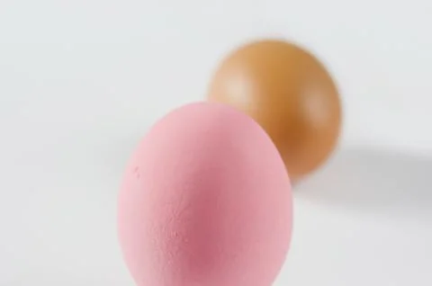 Pink egg Foto stock