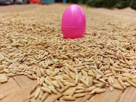 Pink egg Stock Photos