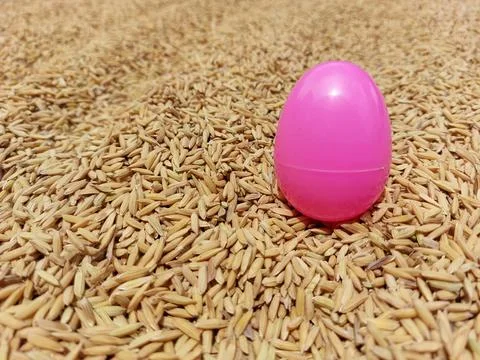 Pink egg Stock Photos