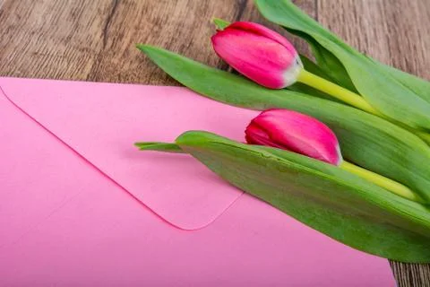Pink envelope with tulips on a table Stock Photos