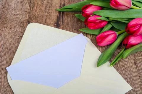 Pink envelope with tulips on a table Stock Photos