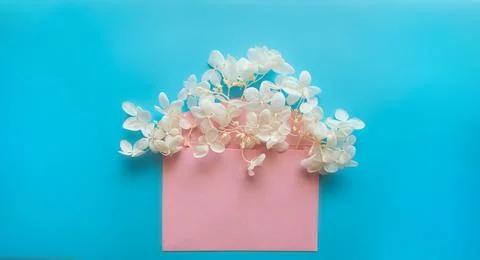 Pink envelope with white flowers hydrangea inside on a blue background. Stock Photos