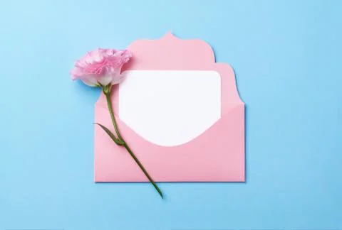 Pink envelope with white sticker inside on a pink paper background. Stock Photos