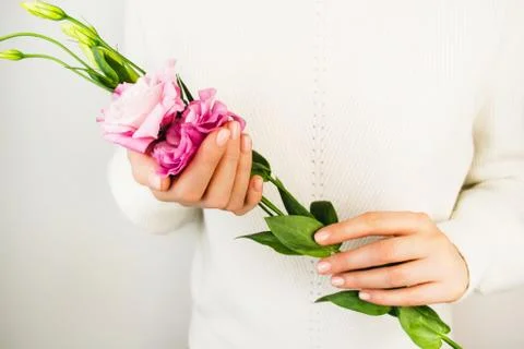 Pink eustoma flower in woman's hands. Lady in white sweater closeup. Feminine Stock Photos