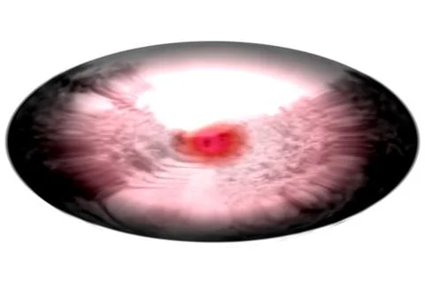 Pink eye of  predator or a cold eye of a reptile with strong light reflection Stock Illustration