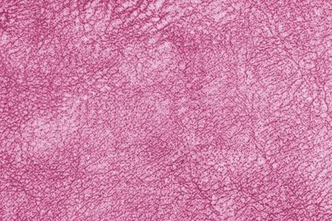 Pink fabric texture background with soft woven material and subtle textile .. Stock Photos
