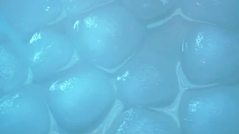 Pink face roller scraping for aesthetic facial massage on ice cubes and water Stock Footage 314853005