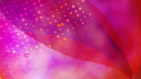 Pink Fan Stock Footage 50641205