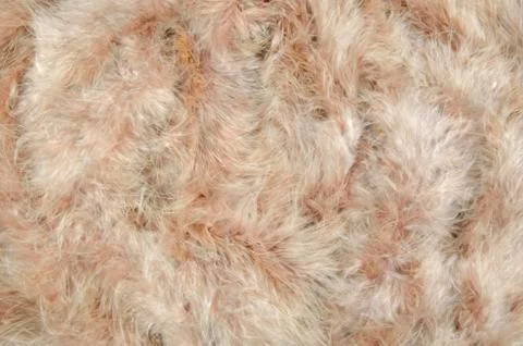 Pink feather background Stock Photos