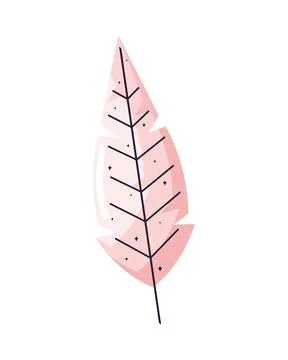 Pink feather bird Illustrazione stock