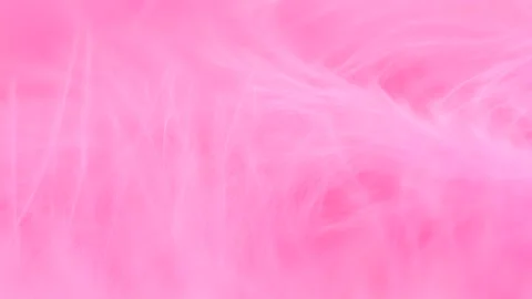 Pink feather close-up. Selective focus, slow motion feather background. Mac.. Stock Footage 252065839