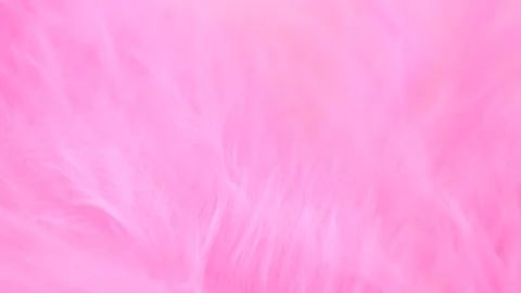 Pink feather close-up. Selective focus, slow motion feather background. Mac.. Stock Footage 254333055