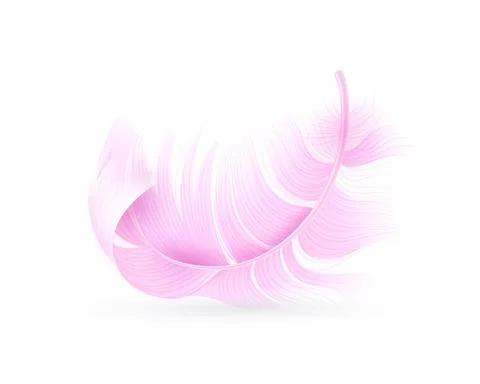 Pink feather. Exotic bird, flamingo or parrot realistic flying fluff, bird soft Illustrazione stock