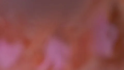 Pink feather falling on feather bed 120 fps Stock Footage 80923246